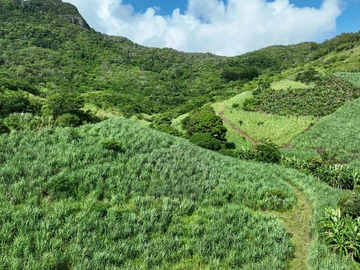 Terrain Agricole