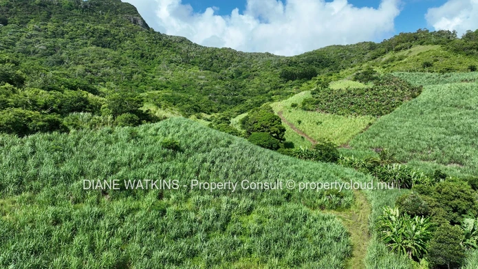 For Sale - Agricultural Land in Anse Jonchee
