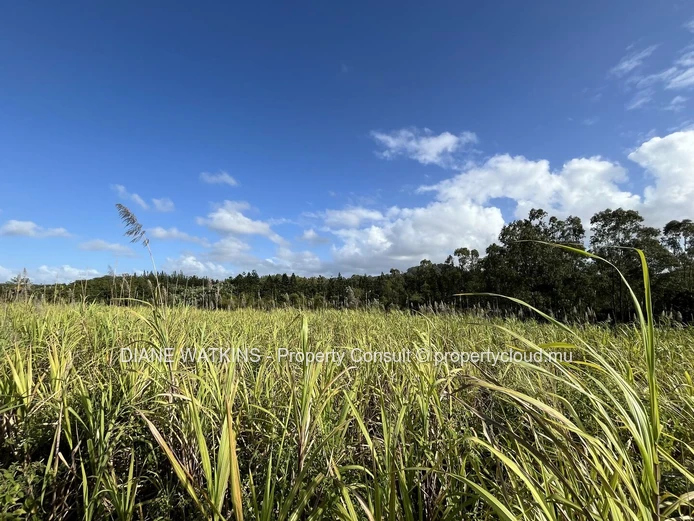 À Vendre - Magnifique Terrain Agricole en Bordure d'une Rivière à Deux Bras.
