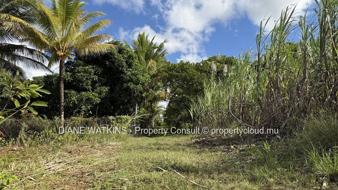 Terrain agricole exceptionnel à vendre – Deux Bras, île Maurice | 4 693 m²