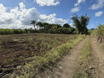 Terrain Agricole