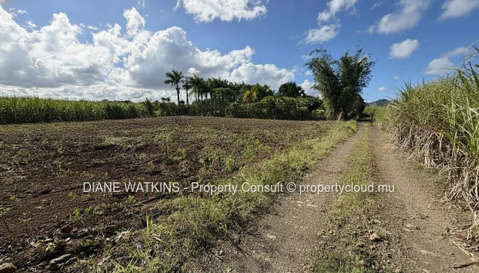 Terrain agricole exceptionnel à vendre – Deux Bras, île Maurice | 4 693 m²