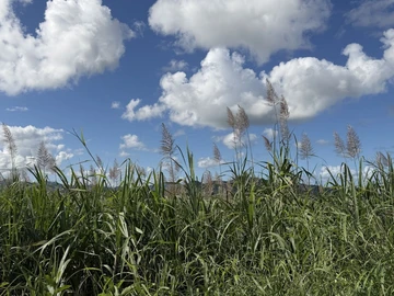 Terrain Agricole