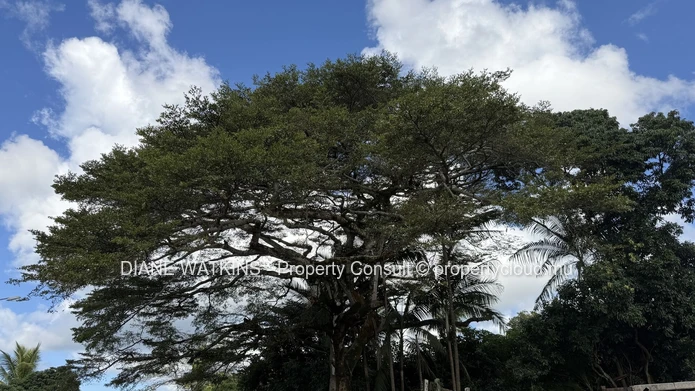 Terrain agricole exceptionnel à vendre – Deux Bras, île Maurice | 4 693 m²