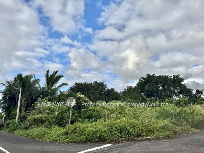 À Vendre – Terrain Résidentiel à Union Park