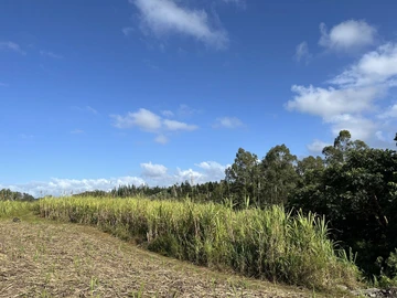Terrain Agricole