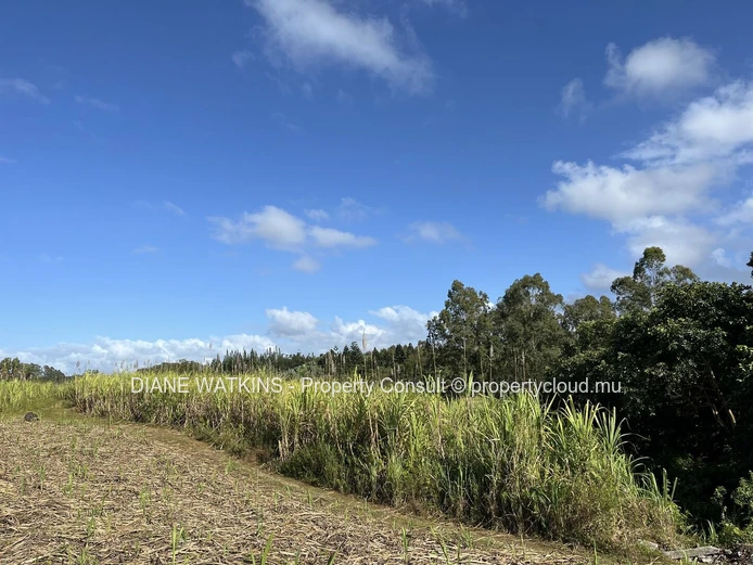 À Vendre - Magnifique Terrain Agricole en Bordure d'une Rivière à Deux Bras.