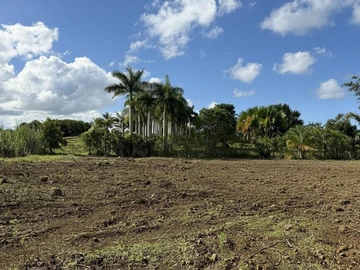 Terrain Agricole
