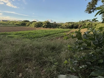 Terrain Résidentiel