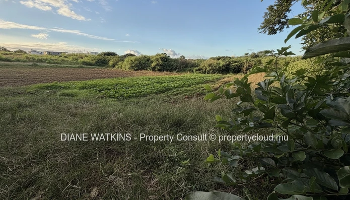 Terrain résidentiel à vendre à Rose Belle, Maurice – 40 perches dans un secteur en plein essor