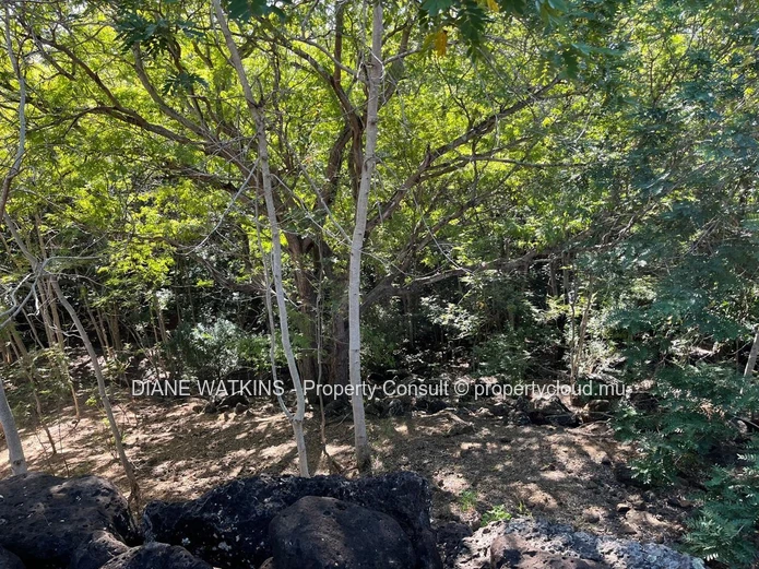 Terrain résidentiel en bord de rivière avec vue sur La Tourelle dans un domaine sécurisé à Tamarin
