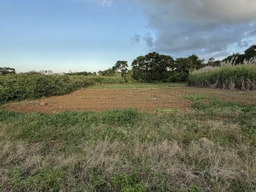 Terrain Résidentiel