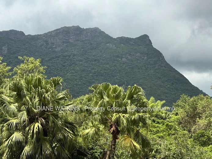À Vendre – Maison Familiale avec Vue Sur La Rivière et Les Montagnes à Moka