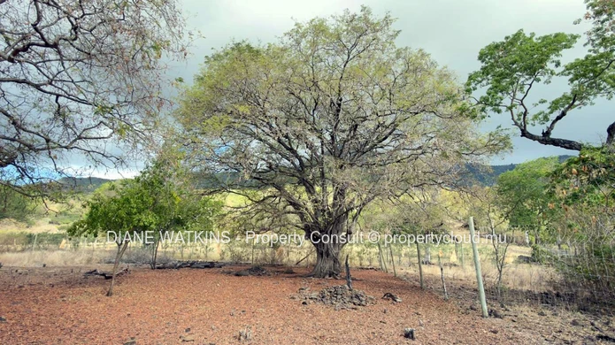 Terrain en hauteur avec vue vallée, au bord d’une réserve à vendre à Rivière Noire
