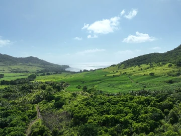 Terrain Agricole