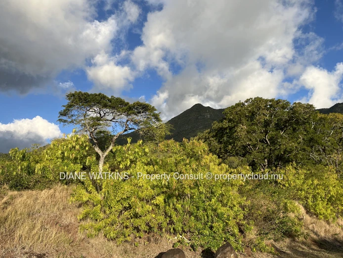 Terrain d’exception à vendre à Petite Rivière Noire – 2 157 m² dans un domaine sécurisé exclusif