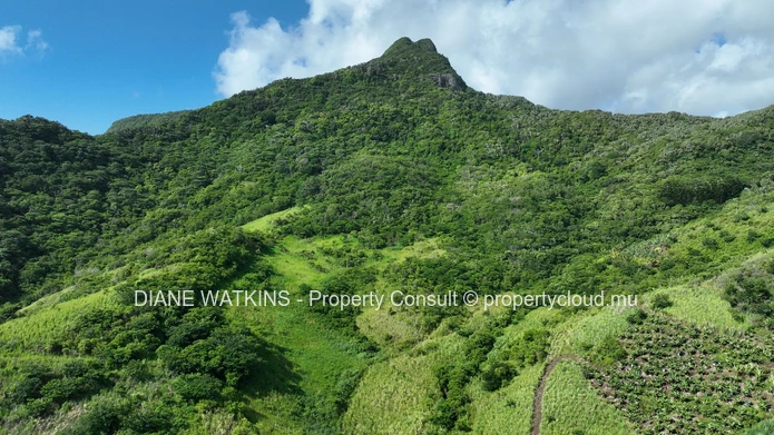For Sale - Agricultural Land in Anse Jonchee