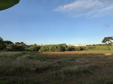 Terrain Résidentiel