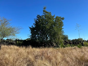 Terrain Résidentiel