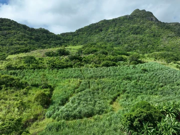 Terrain Agricole
