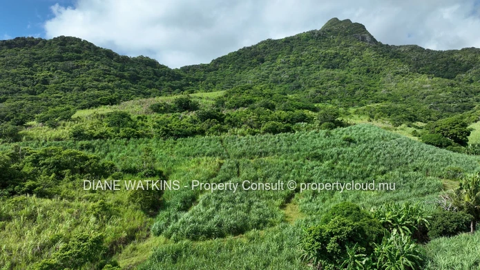 For Sale - Agricultural Land in Anse Jonchee