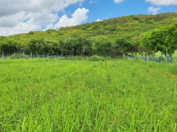 Terrain Agricole