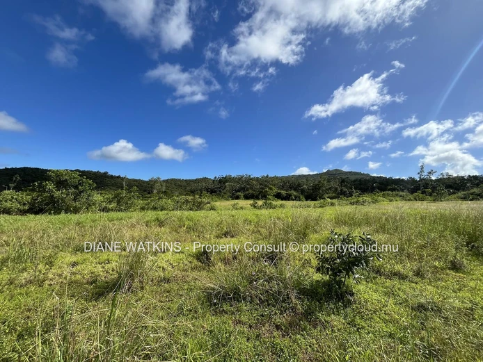 À Vendre - Magnifique Terrain Résidentiel à Avalon