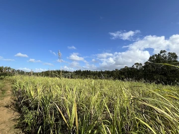 Terrain Agricole