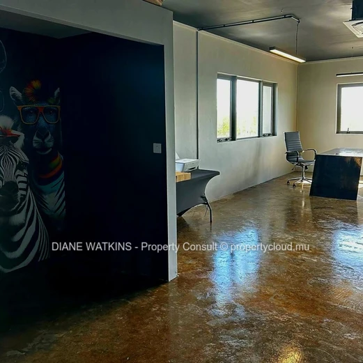 Bright and Accessible 129m² Workplace for rent in Calebasses