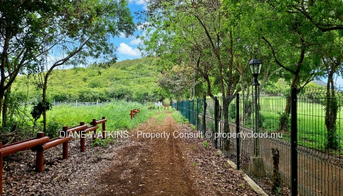 Terrain agricole bien situé à vendre, près du parc de Sodnac, du Phoenix Mall et du métro
