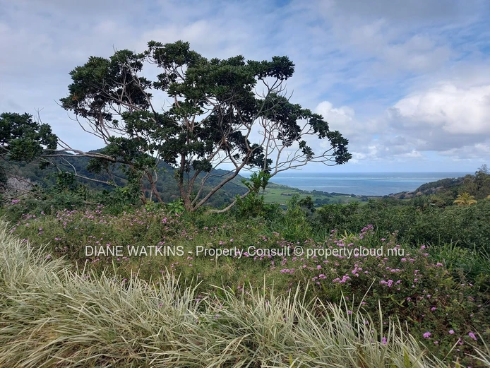 À Vendre - Villa d'exception à Anse Jonchee en Pleine Nature