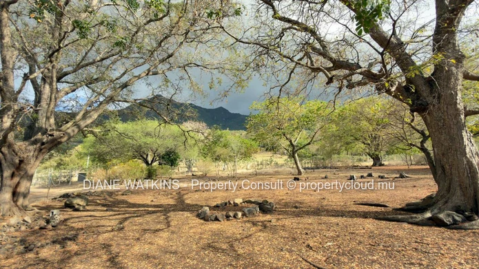 Terrain en hauteur avec vue vallée, au bord d’une réserve à vendre à Rivière Noire