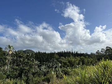 Terrain Agricole