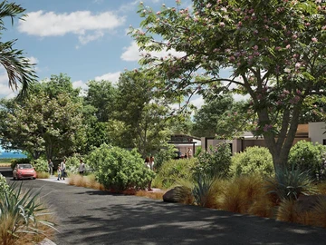 Terrain