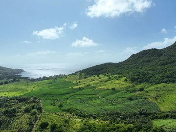 Terrain Agricole