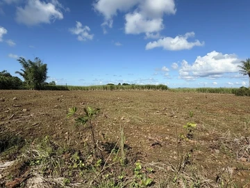 Terrain Agricole