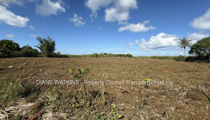 Terrain agricole exceptionnel à vendre – Deux Bras, île Maurice | 4 693 m²