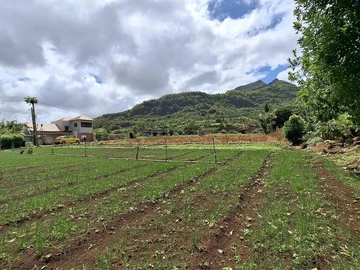 Terrain Résidentiel