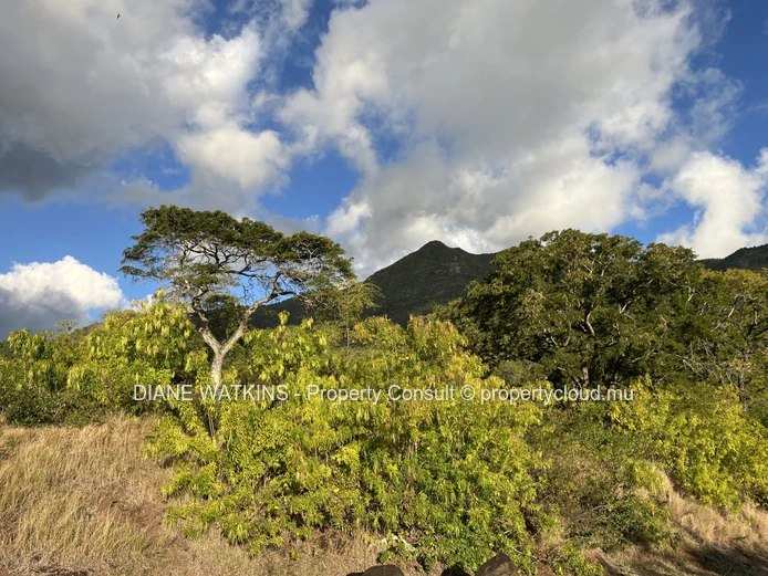Terrain d’exception à vendre à Petite Rivière Noire – 2 157 m² dans un domaine sécurisé exclusif